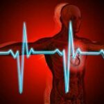 La Fréquence Cardiaque de Perte de Poids Une Théorie Qui Ne Tient Pas La Route
