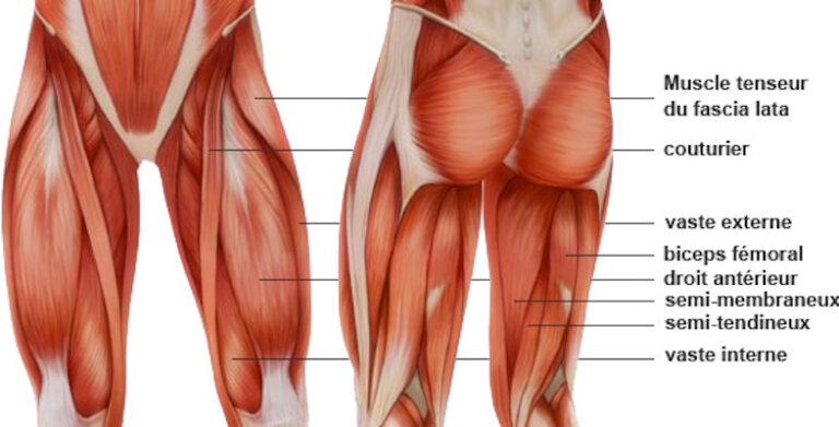 Comment savoir si on a une tendinite ischio-jambier