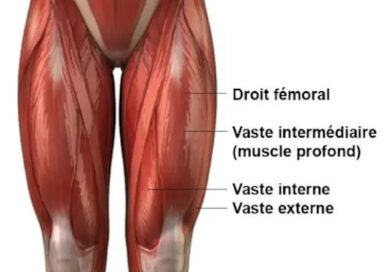 6 Façons de Cibler les Quadriceps