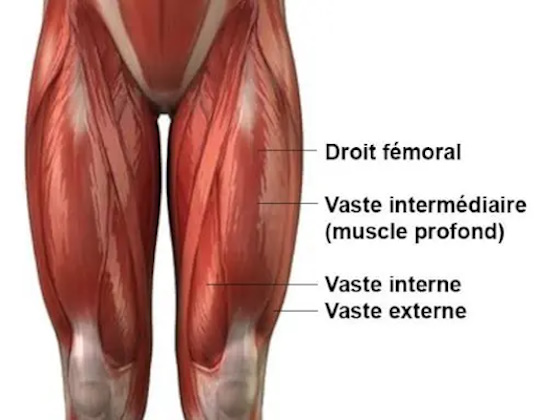 6 Façons de Cibler les Quadriceps