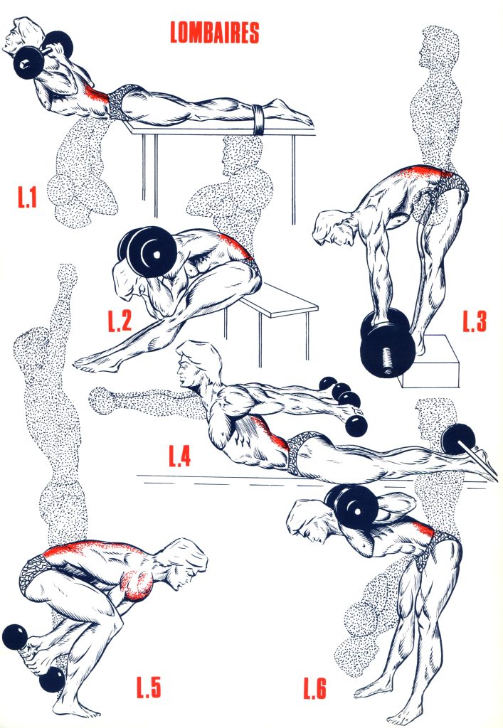 big-228746806c7b6f5-707x1024 Programme complet pour renforcer et protéger tes lombaires