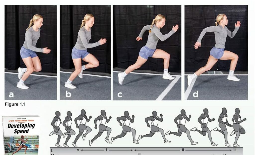 Maîtriser la foulée parfaite