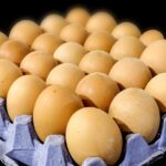 Les œufs une source de protéines