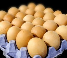 Nutrition sportive : combien d’œufs manger pour améliorer ses performances en course à pied (sprint, demi-fond et endurance)