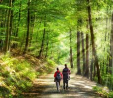 Combien marcher par jour pour perdre 1 kilo ? La méthode efficace pour maigrir naturellement