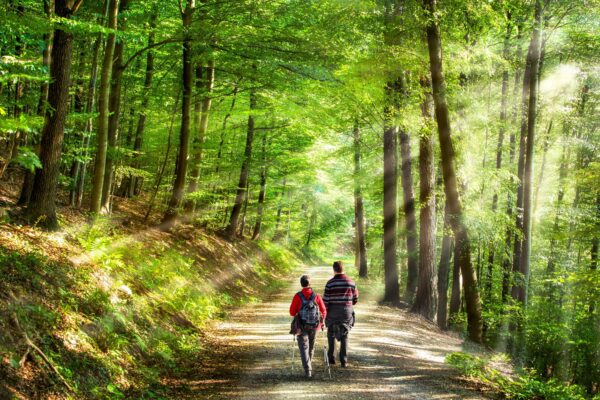 Combien marcher par jour pour perdre 1 kilo